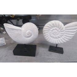 DECO COQUILLAGE 