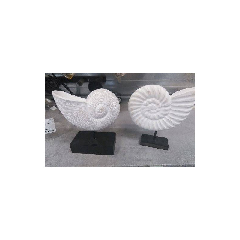 DECO COQUILLAGE 