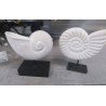 DECO COQUILLAGE 