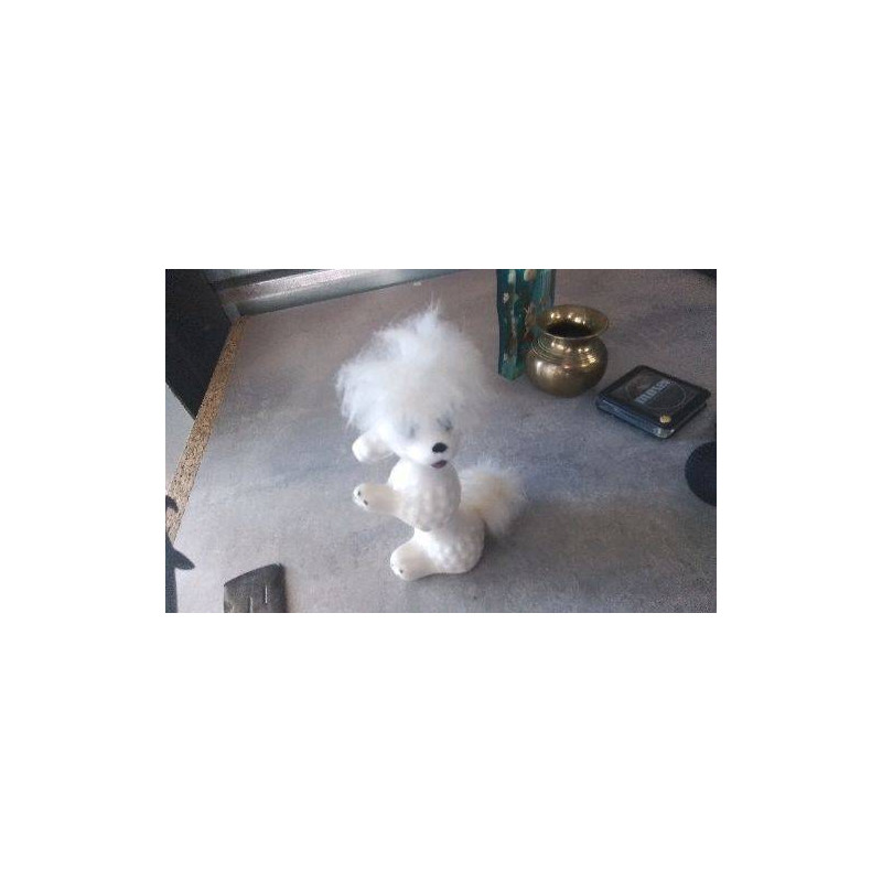 DECO CANICHE 