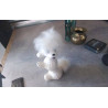 DECO CANICHE 