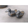 BOITE CANARD PM