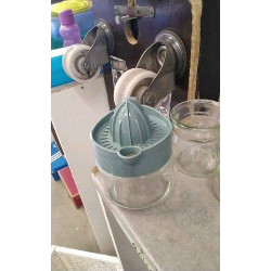 PRESSE AGRUMES VERRE