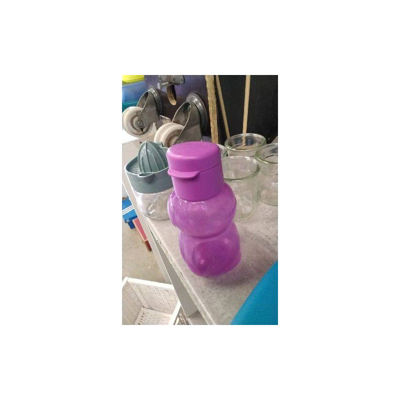 GOURDE PM VIOLETTE 