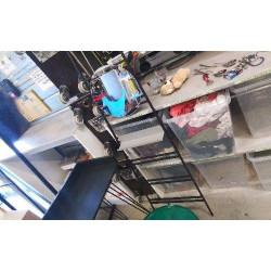 ECHELLE SDB - MIROIR -...
