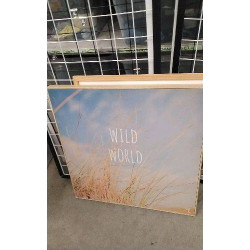 CADRE WILD WORLD