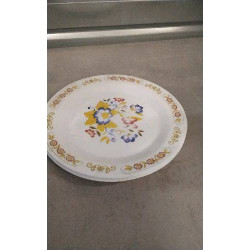 ASSIETTES ARCOPAL X2