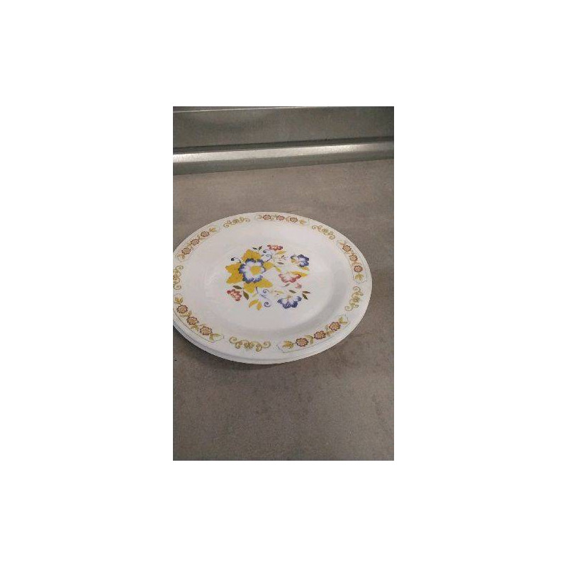 ASSIETTES ARCOPAL X2