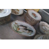 ASSIETTES A POISSON + PLAT PORCELAINE 