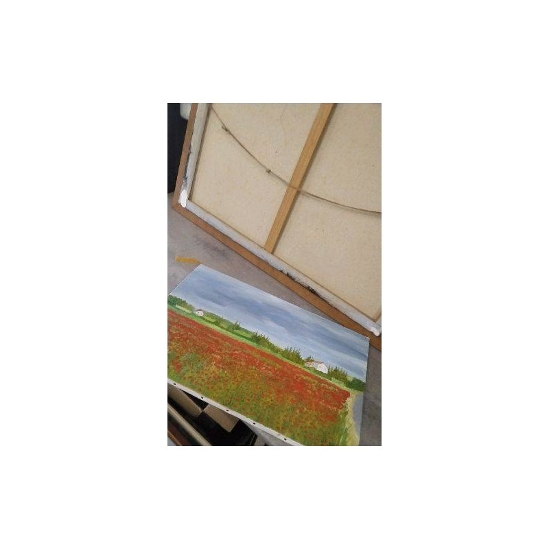 PEINTURE COQUELICOTS 