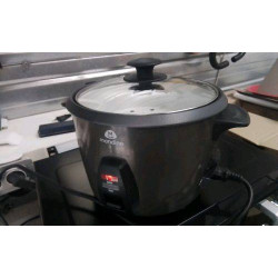 CUISEUR A RIZ MANDINE