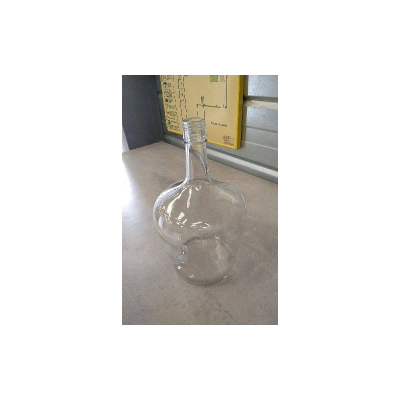 DECO BOUTEILLE VERRE