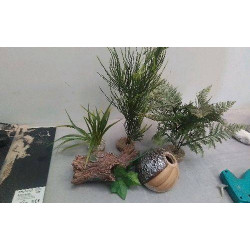 DECOS POUR AQUARIUM LE LOT 