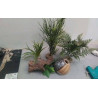DECOS POUR AQUARIUM LE LOT 