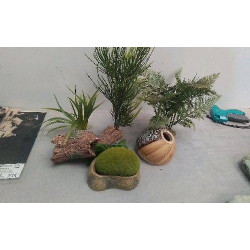 DECOS POUR AQUARIUM LE LOT 