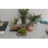 DECOS POUR AQUARIUM LE LOT 