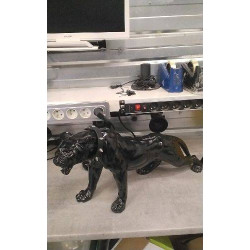 DECO PANTHERE NOIRE +...