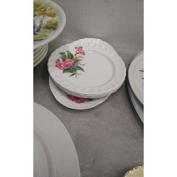ASSIETTES PLASTIQUES + PLAT 