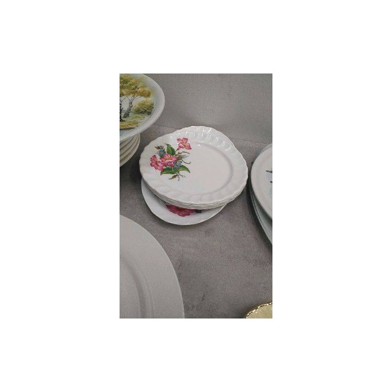 ASSIETTES PLASTIQUES + PLAT 