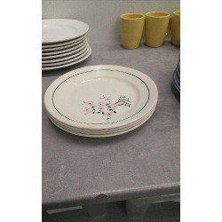 ASSIETTES LUNEVILLE X4 