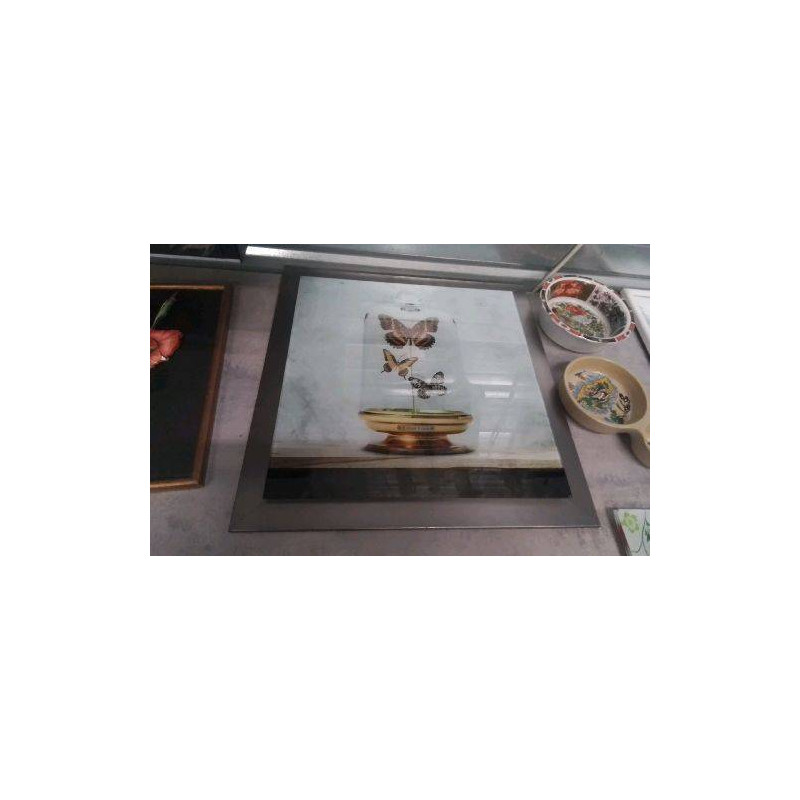 CADRE VERRE ET METAL PAPILLONS 
