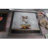 CADRE VERRE ET METAL PAPILLONS 